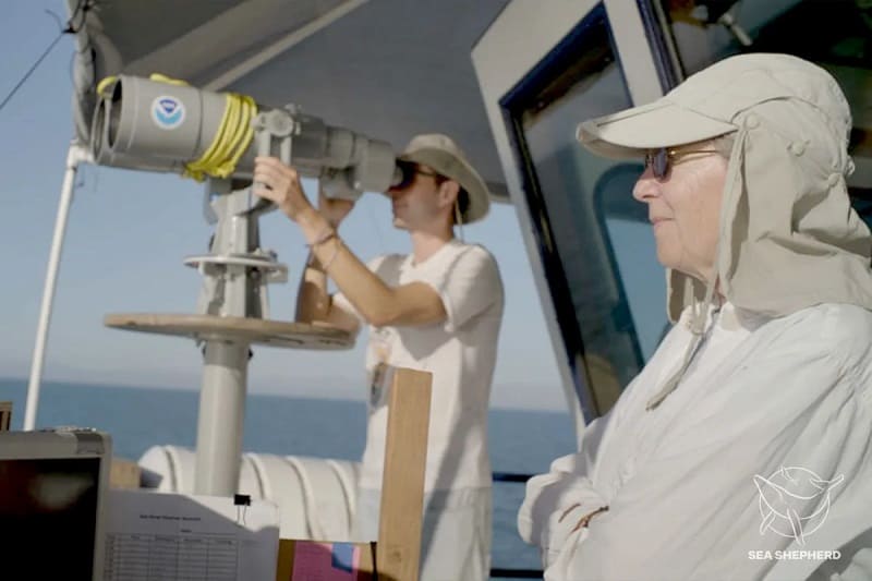 Dr. Barbara Taylor and crew member of the vaquita survey.