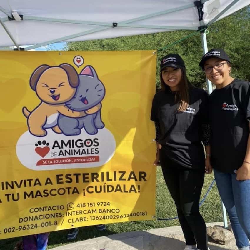 Volunteers promote a rural Amigos de Animales sterilization clinic. 
