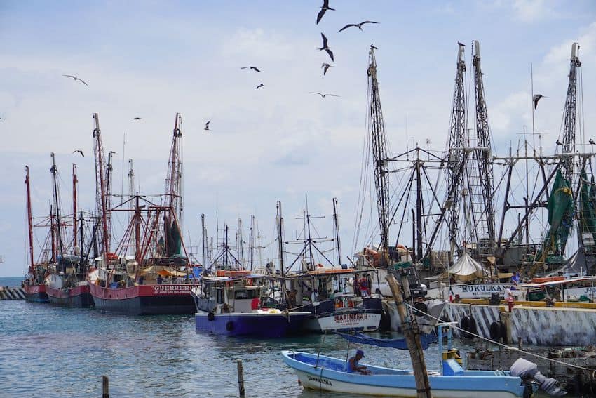 Study: marine park fishing ban didn’t hurt national catch