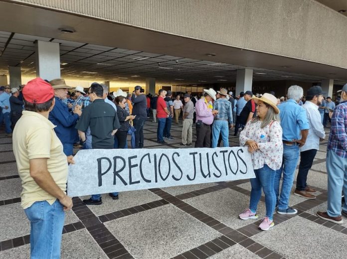 Protesters remove blockade at Culiacán airport