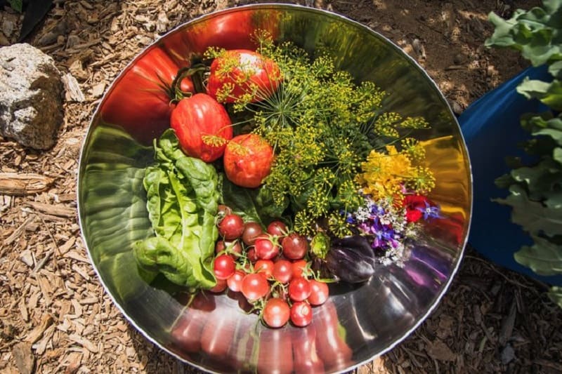 Bowl of vegetables.