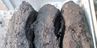 Pieces of wood on a tray,