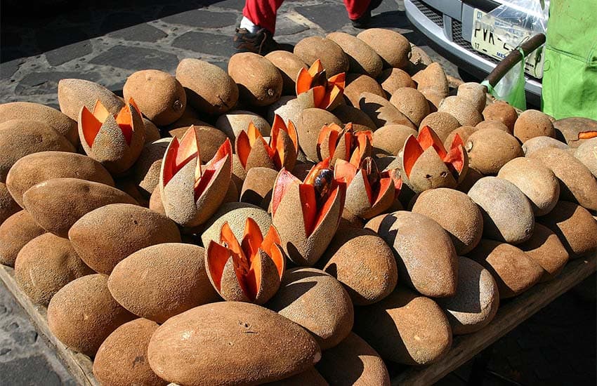 mamey fruit being sold in Mexico