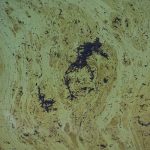 oil slick in Bay of Campeche, Mexico