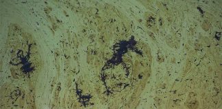 oil slick in Bay of Campeche, Mexico