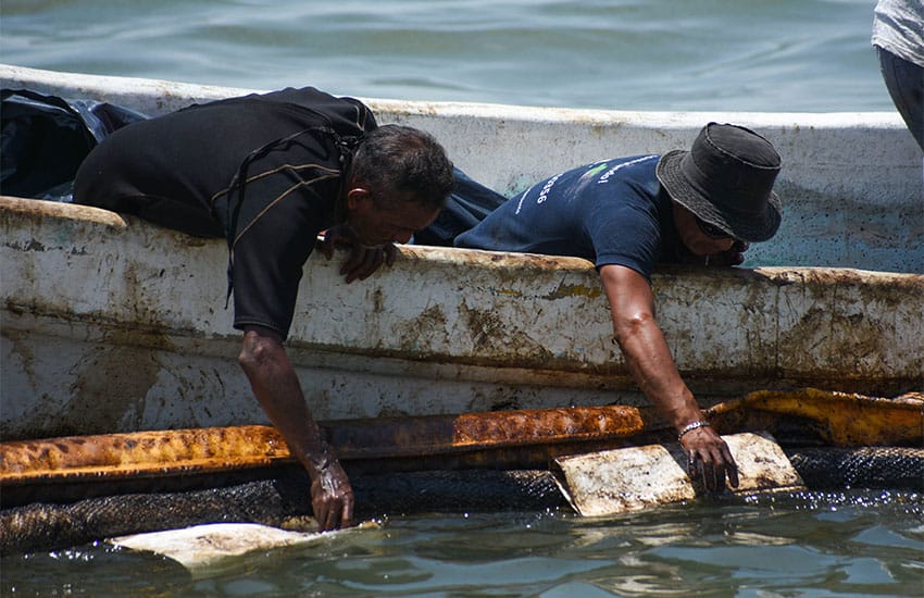 Cleaning up oil slick on shores of beach in Campeche