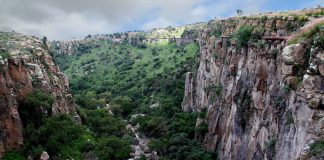 Charco del Ingenio reserve