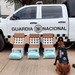 National Guard members pose with apparent fentanyl pills and a sniffer dog