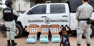 National Guard members pose with apparent fentanyl pills and a sniffer dog