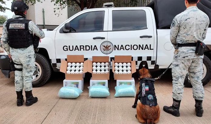 National Guard members pose with apparent fentanyl pills and a sniffer dog