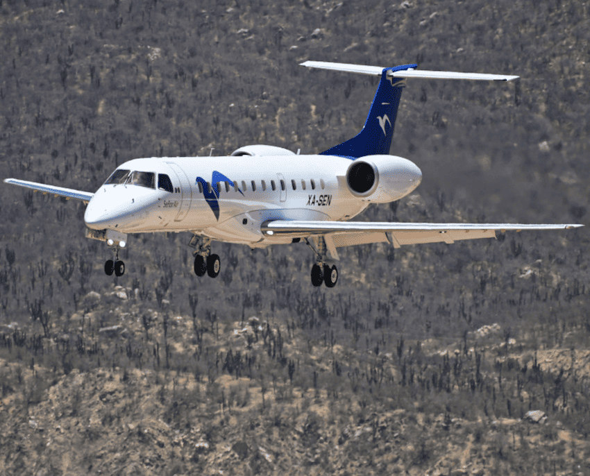 Plane in flight