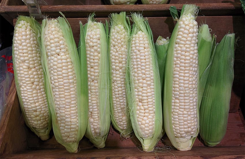 white corn
