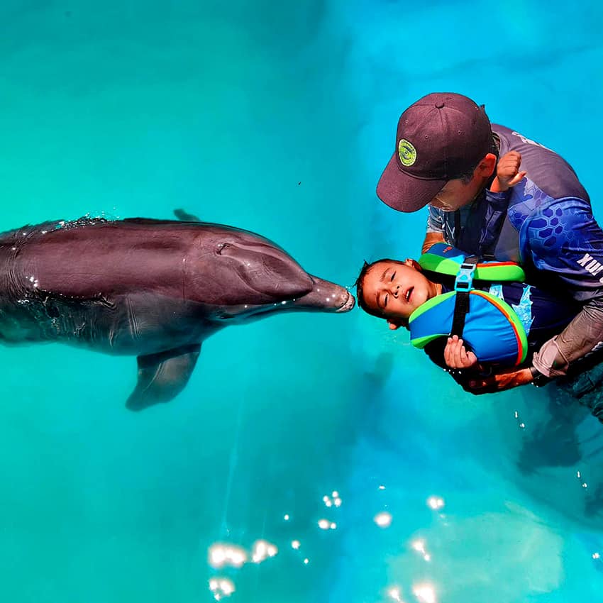 Dolphin therapy at Recinto Maya Kay on the north shore of Lake Chapala.