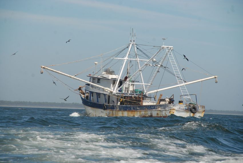 Sinaloa shrimp boat
