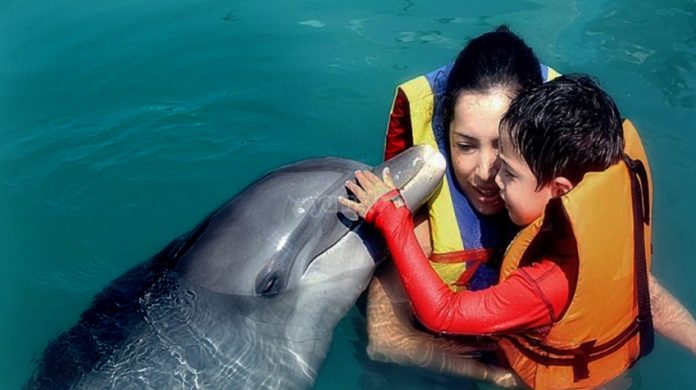 Meeting a dolphin.