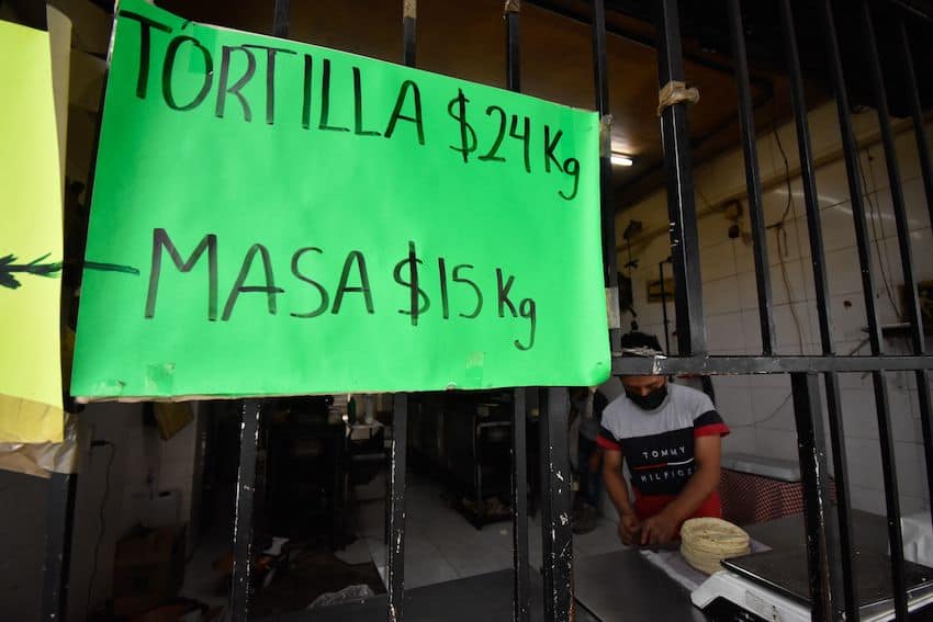 Tortilla prices