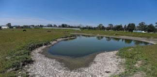 Dried up lagoon near Toluca, Edomex