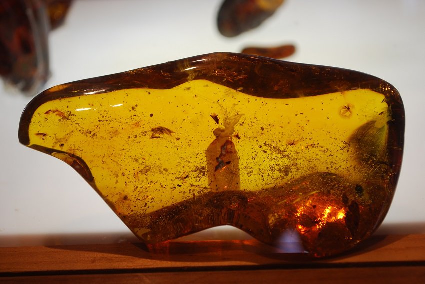 From magic to market: amber’s function in centuries of Chiapas’ tradition