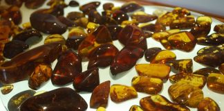 Polished stones in the Amber Museum in San Cristóbal.