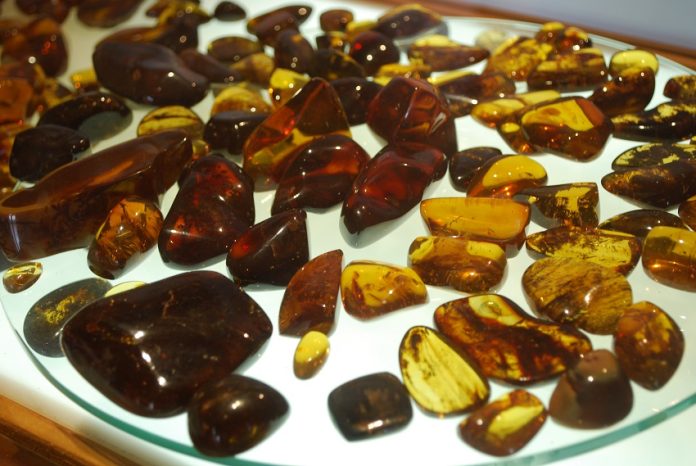 Polished stones in the Amber Museum in San Cristóbal.
