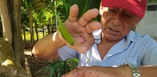 Manuel de Jesús Pech Cob of Yucatan, Mexico