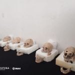 Maya skulls