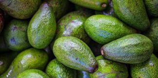 Avocados