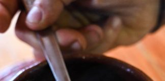 Regional mushroom from Oaxaca