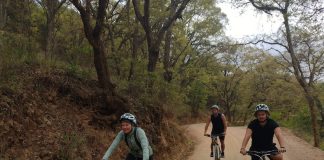 GTO bikes in the forest