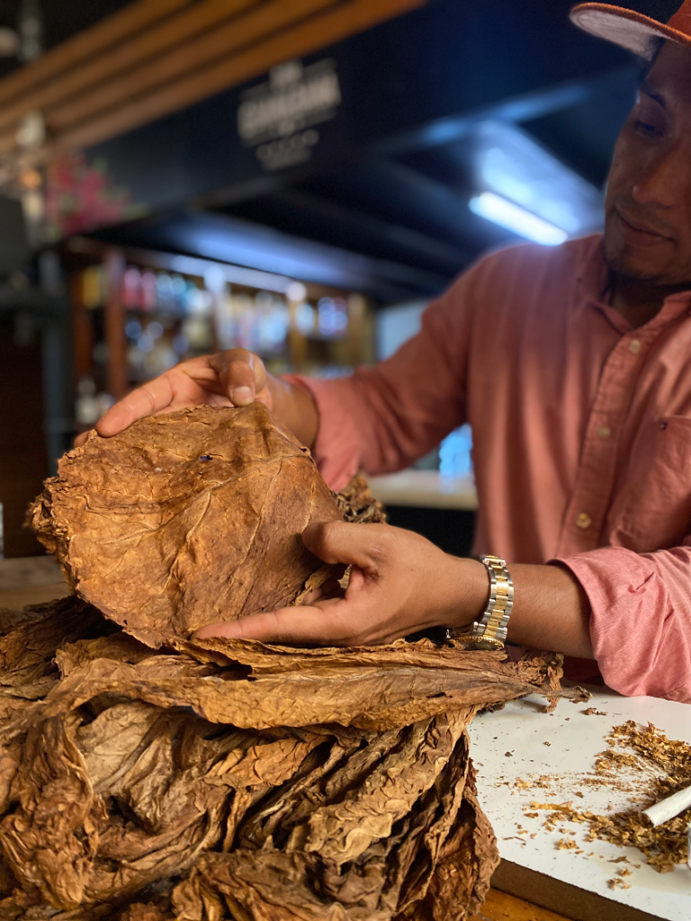 Dar nueva vida a las antiguas tradiciones del tabaco - El Despertar