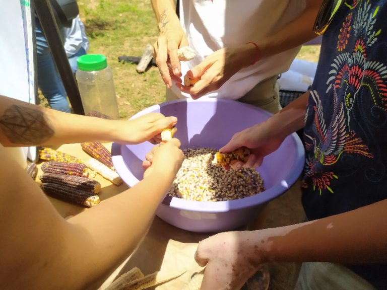 Yucatán’s farmers set up seed banks to save the Maya milpa