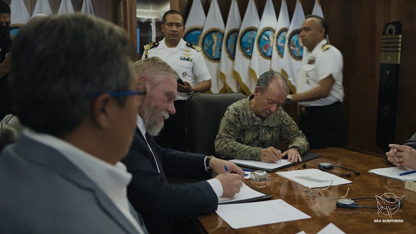 The agreement was signed by Admiral Ojeda of the Mexican Navy and Sea Shepherd CEO Pritam Singh