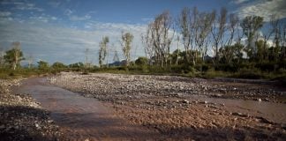 Sonora River turned reddish-orange after a mining company owned by Grupo México spilled hazardous waste into the river.