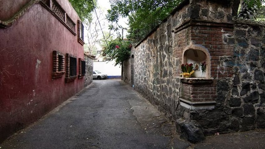 Aguacate, Coyoacan