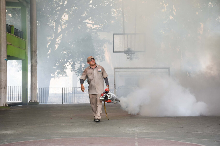 Fumigación para prevenir el dengue