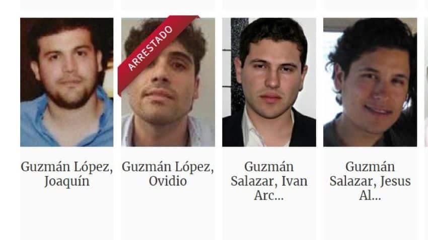 Algunos de los hijos de Joaquín "El Chapo" Guzmán forma la facción del Cártel de Sinaloa conocida como "Los Chapitos,"