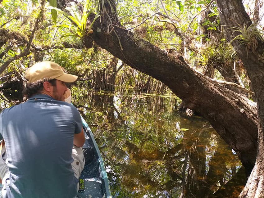 A man in a baseball cap sits in a canoe in a flooded forest.