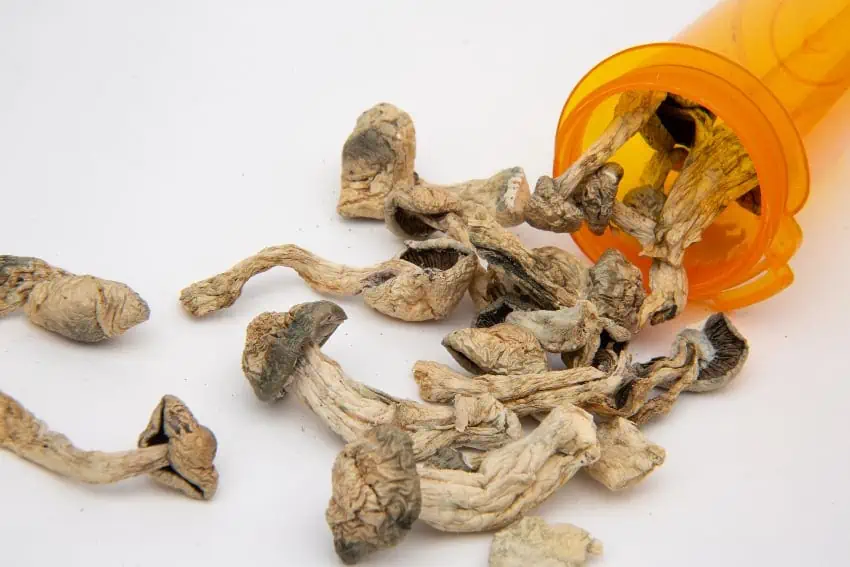 From magic mushrooms to the physician’s workplace?