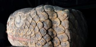 A stone snake head with traces of paint
