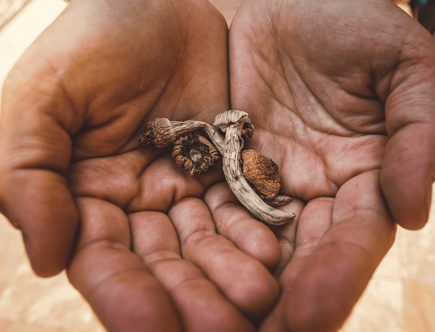 Get into Mexico's growing extreme fitness scene