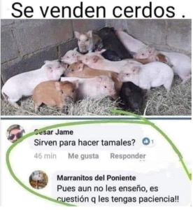 What does it meme? The Mexican memes making the rounds
