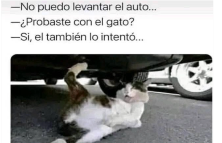 What does it meme? The Mexican memes making the rounds