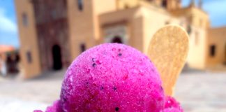 Garambullo ice cream