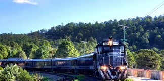 A black train approaches in a forest
