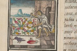 Digitized 16th-century codex of Aztec life made public online