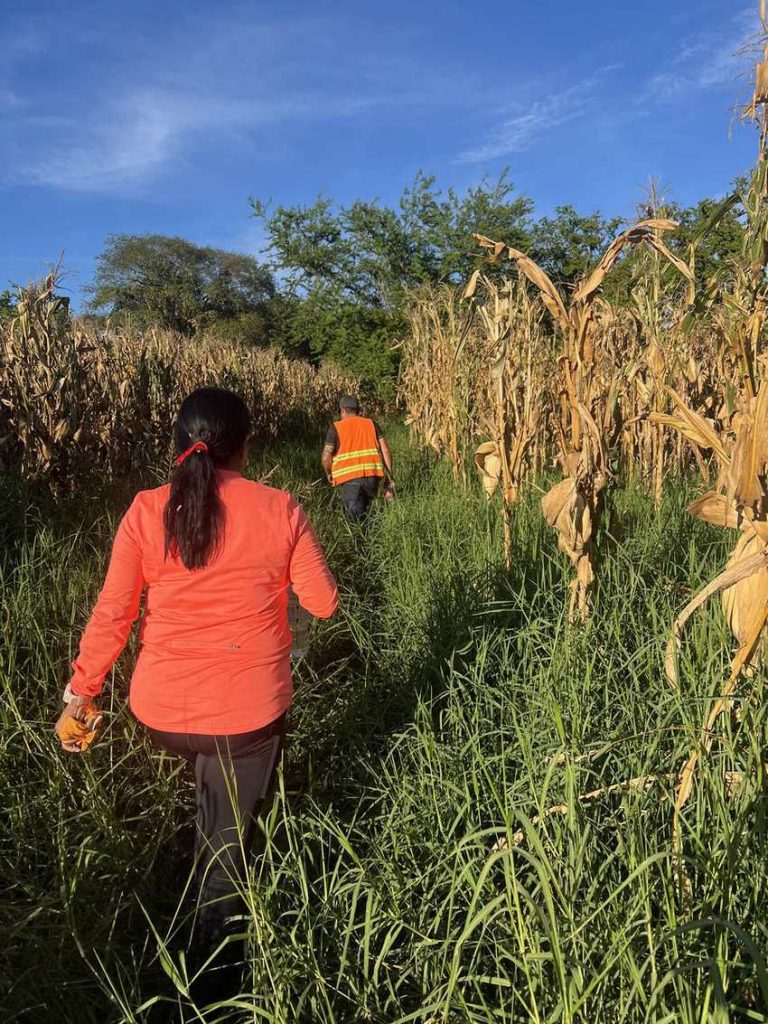 Trekking, Mexico style
