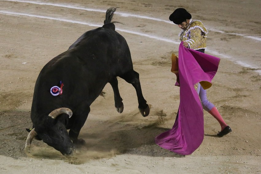 Matador and bull fighting.