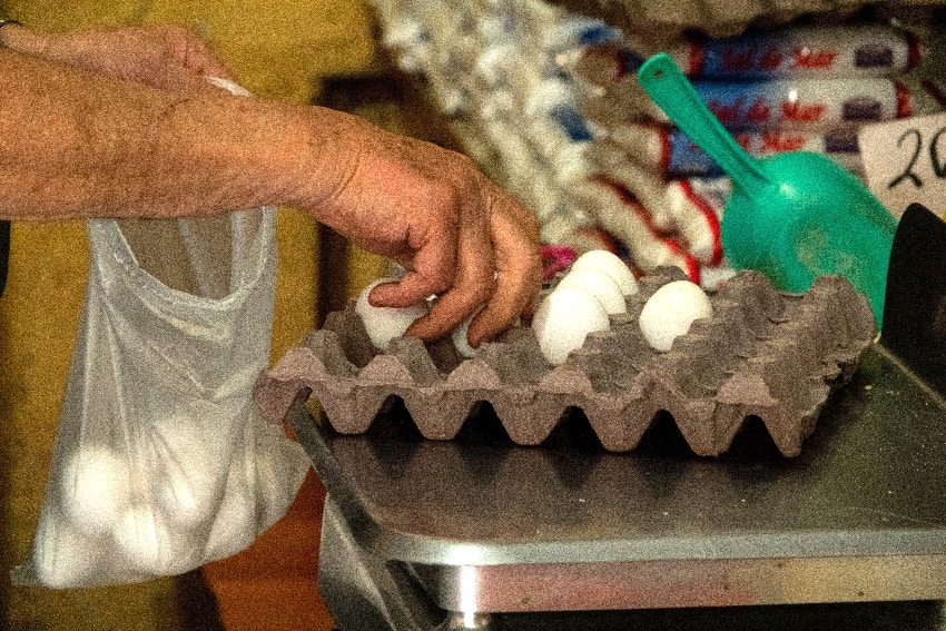 Person buying eggs