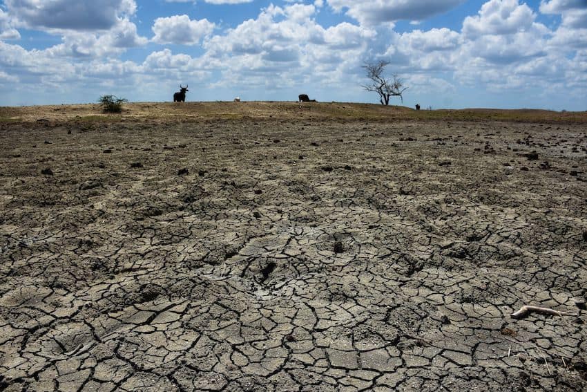 Heat wave and drought