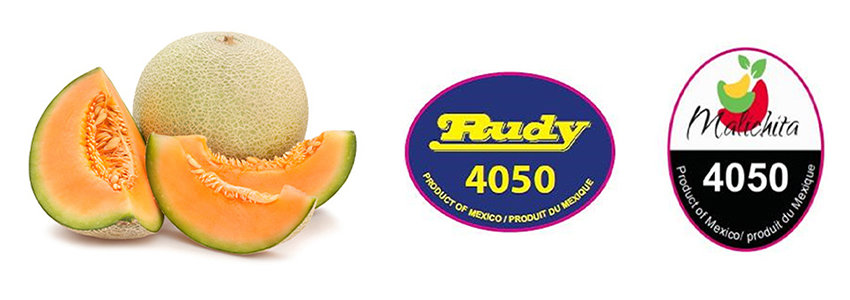 Three images: a sliced cantaloupe and brand stickers reading Rudy and Malachita